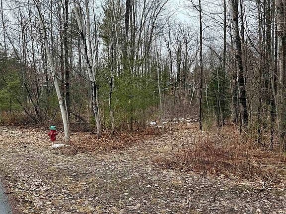 2nd image of TBD Cherry Lane Extension