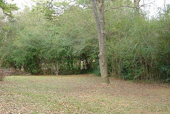 This is a view of the backyard