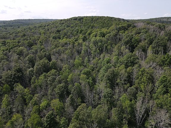 5th image of McHenry Valley Rd Lot Wp002