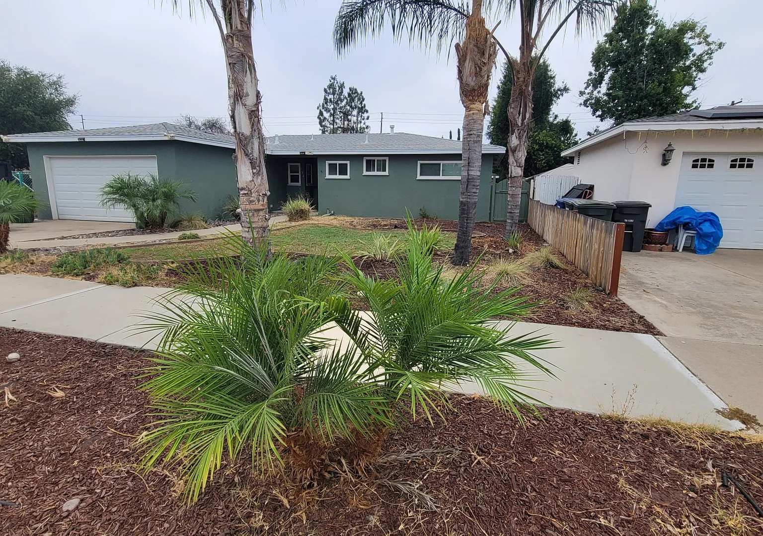 3 bed, 1303 sqft, $3,600 — Photo 1