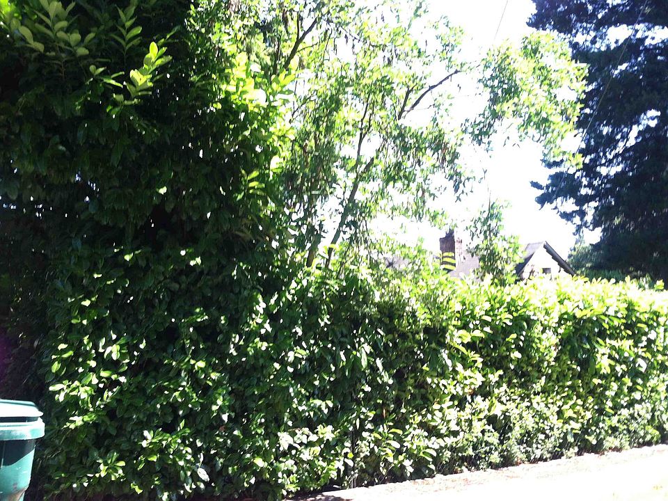 2nd image of 1550 NE 90th St