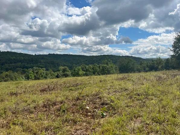 000 County Road 527, Gainesville, MO 65655