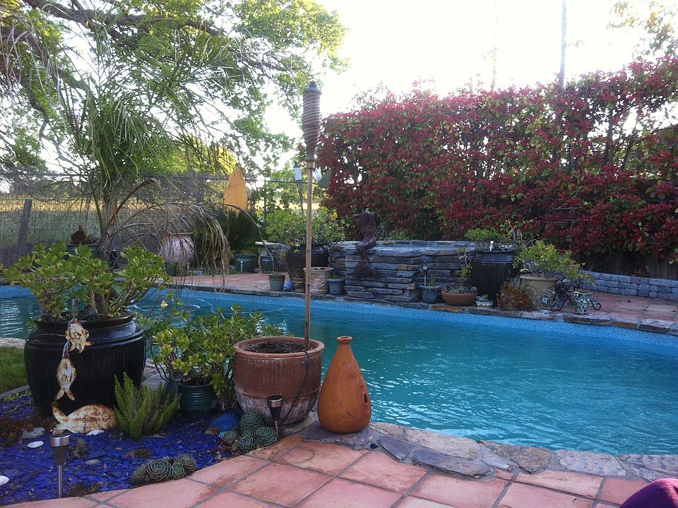 Island oasis 