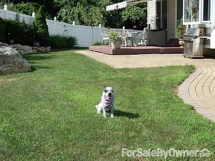Serene Back Yard and Deck : Maintenance free Trex deck & retractable awning. Secluded fenced yard.