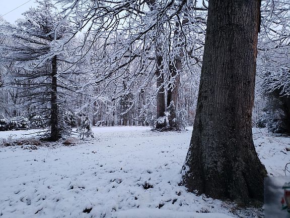Front yard after the most recent snow.