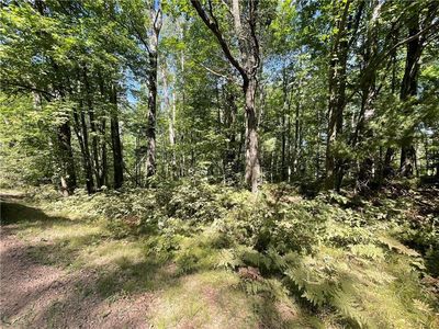 XXX Sand Road, Shell Lake, WI, 54871