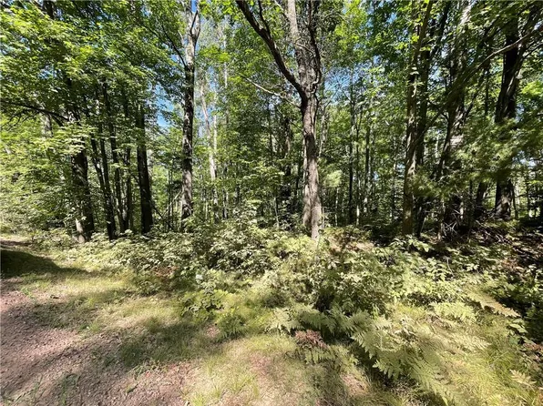 XXX Sand Road, Shell Lake, WI 54871