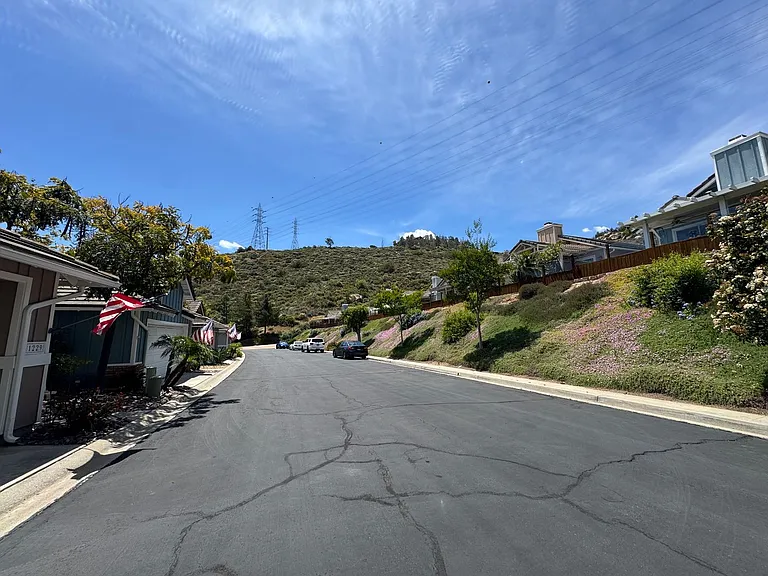 1217 Pearlbush Ct — Photo 19