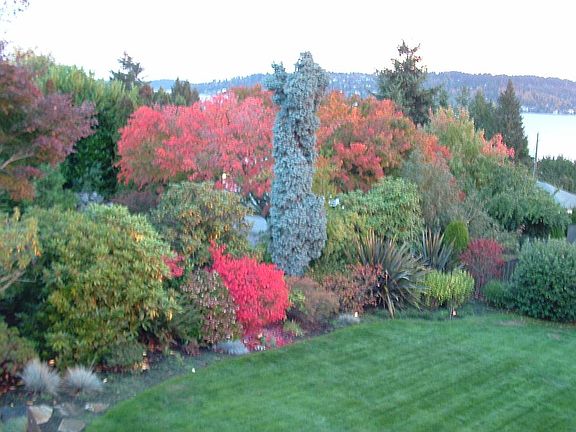 West side of back yard