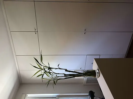 Rented by Owner | media 5