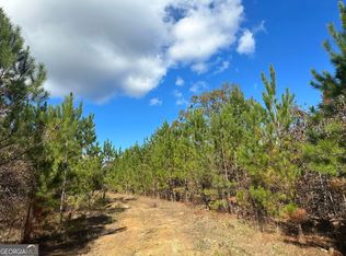 3 Tower Point Rd, Buena Vista, GA 31803