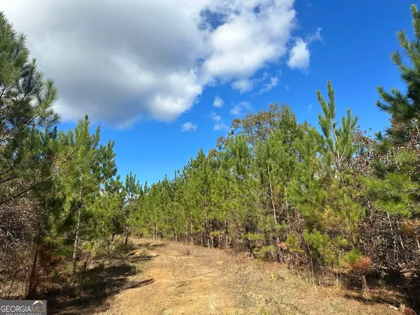 3 Tower Point Rd, Buena Vista, GA 31803