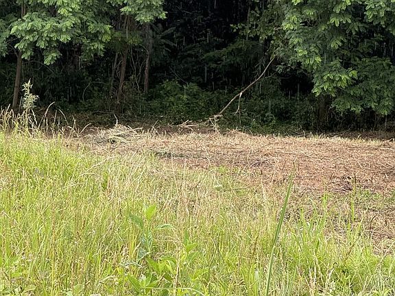3rd image of LOT-84C Mallard Ln