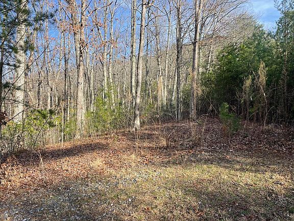 4th image of LOT 14 Big Cove Dr