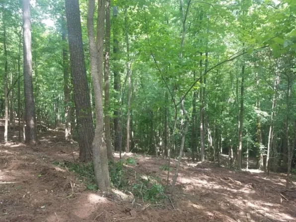 LOT 31 Cleveland Ferry Rd, Fair Play, SC 29643