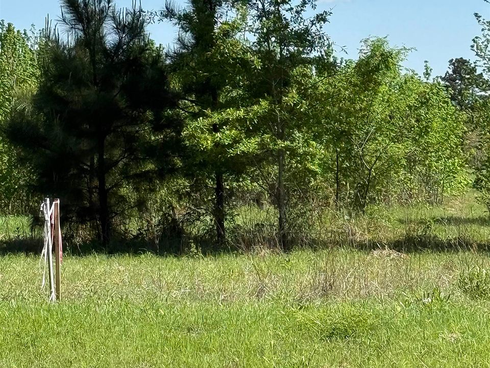 2nd image of LOT 2 Fm 839 S