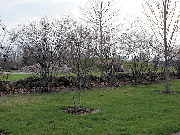 3rd image of 6313 Corley Dr