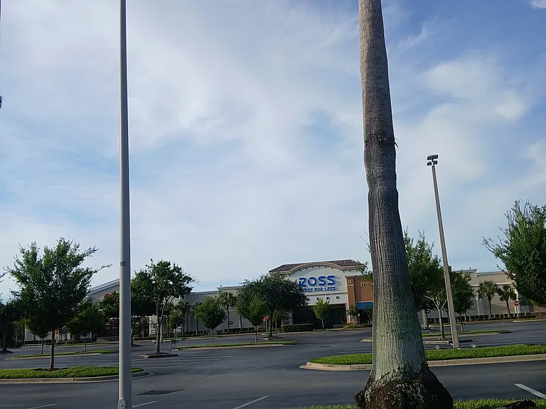 7900 S Orange Blossom Trl #2 — Photo 24