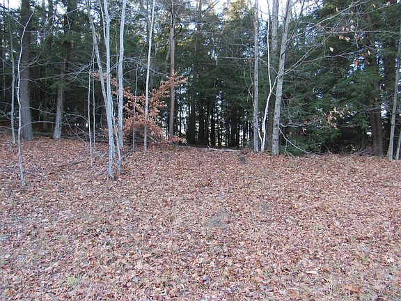 4th image of Kelley Dr