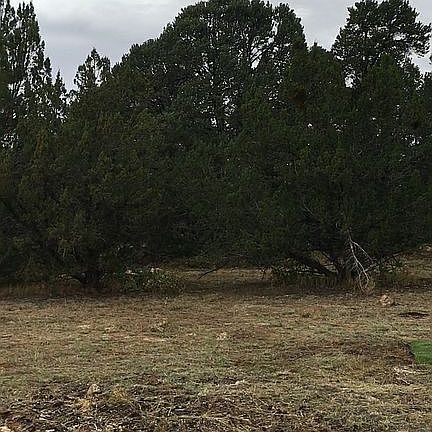 2nd image of 3378 Tonto Dr
