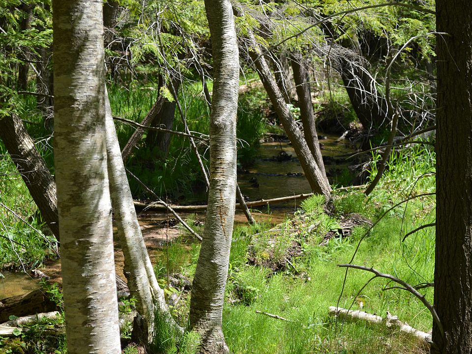 4725 E Duck Lake Rd, Grawn, MI 49637 Zillow