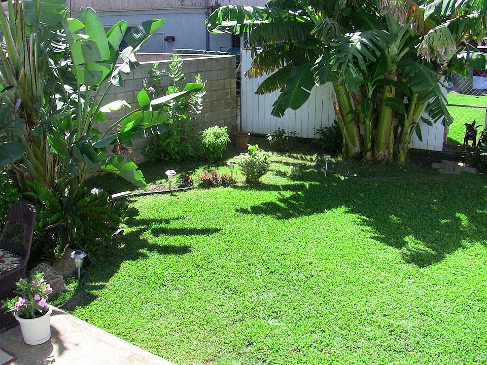 CPR with single family like yard. Private and large!