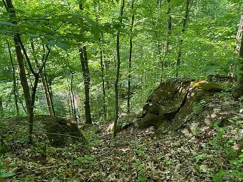 1321 Garrettsburg Rd — Photo 22
