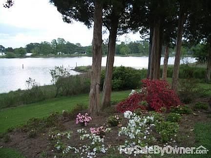 Wide River Views
						:
						Tall trees provide shade and stability without obstructing panoramic views.