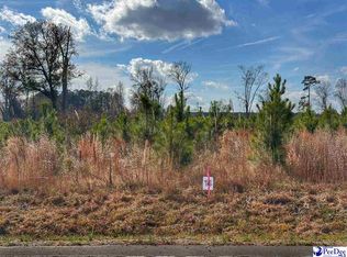 LOT 14 E Academy St, Latta, SC 29565