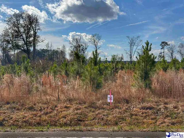 LOT 14 E Academy St, Latta, SC 29565