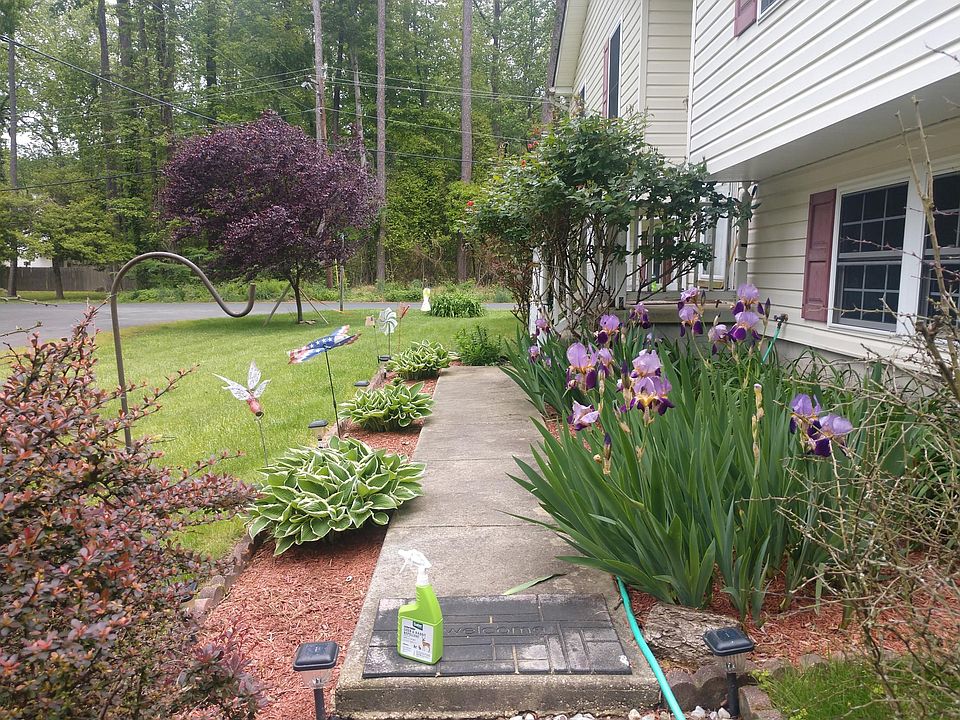 Landscaped yard
