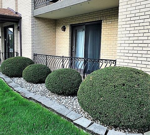 2nd image of 16825 81st Ave APT 1S