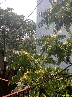 Rented by Oxford Property Group | media 30