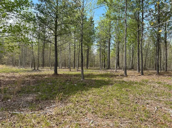 6390 Raulston Falls Rd #Jf-094, Jasper, TN 37347