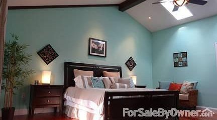 Amazing Master Bedroom
						:
						Check out the vaulted ceiling and skylights (there are 2, only 1 is pictured)