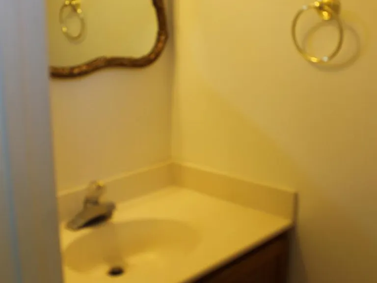 8695 Manahan Dr — Photo 9