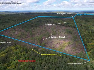 Kornstead Rd, Mellen, WI 54546