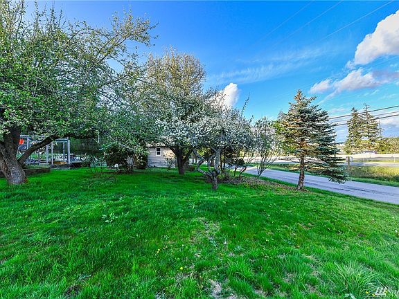 Variety of fruit trees in large yard