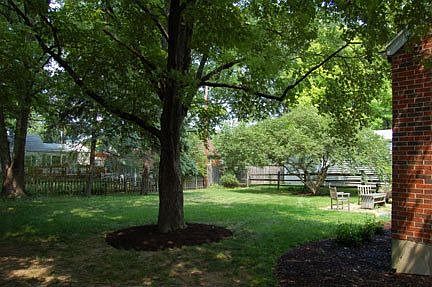 Back Yard - Mature Trees and Landscaping
