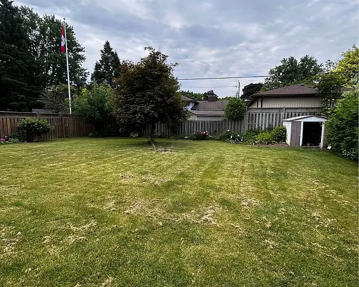 51 Collingdon Dr — Photo 6
