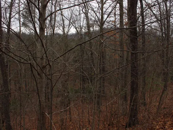 20 Thunder Rd, Hayesville, NC 28904