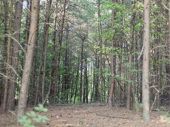 Nestle your home here