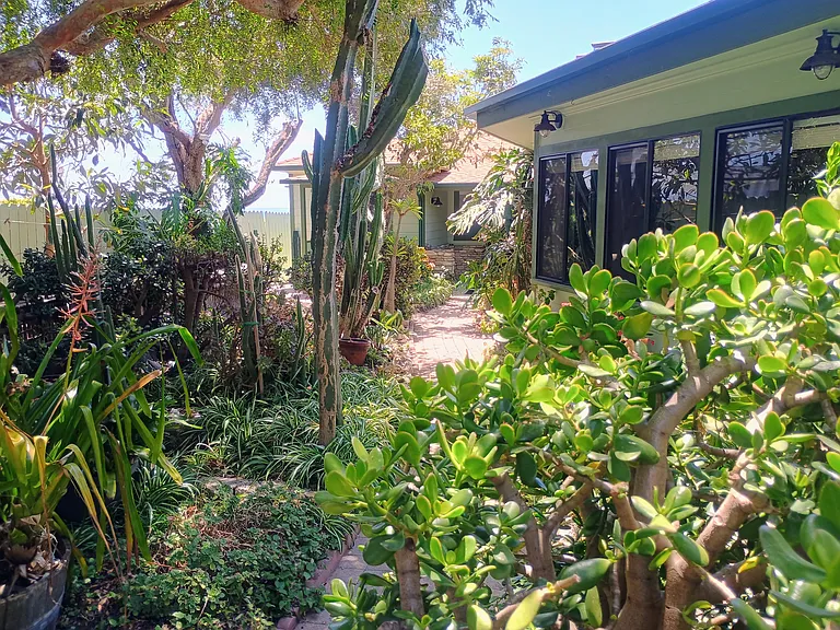 Front Garden