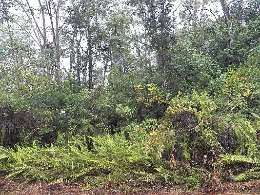 1st image of Railroad Ave Lot 415