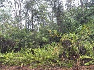 Railroad Ave LOT 415, Keaau, HI 96749