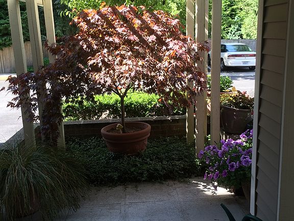 2nd image of 18676 NE 55th Way #Xx18676