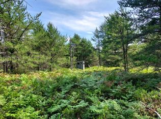 Scott Rd, East Tawas, MI 48730