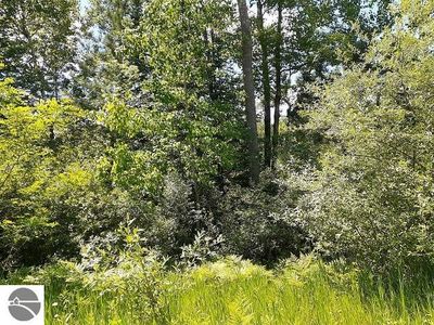 0 Eastside Dr, Lupton, MI, 48635