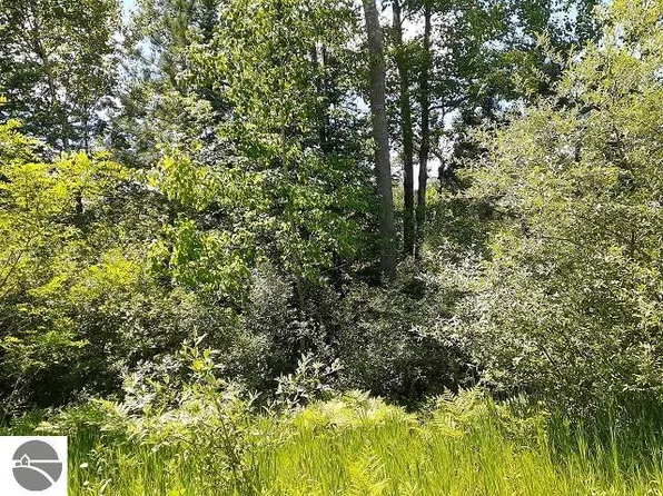 0 Eastside Dr, Lupton, MI 48635