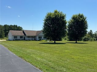 7869 Irish Rd, Colden, NY 14033